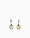 NEW PRASIOLITE