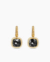 BLACK ONYX
