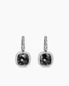 BLACK ONYX
