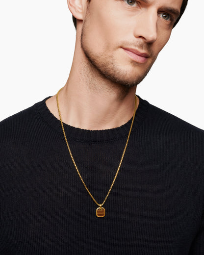 TIGERS EYE