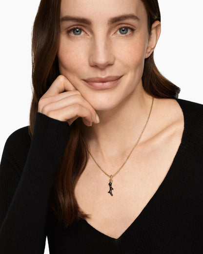 BLACK ONYX