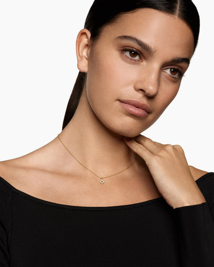 17 IN