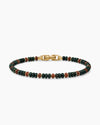 BLOODSTONE